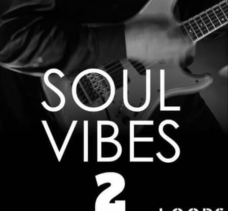 HOOKSHOW Soul Vibes Loops 2 WAV
